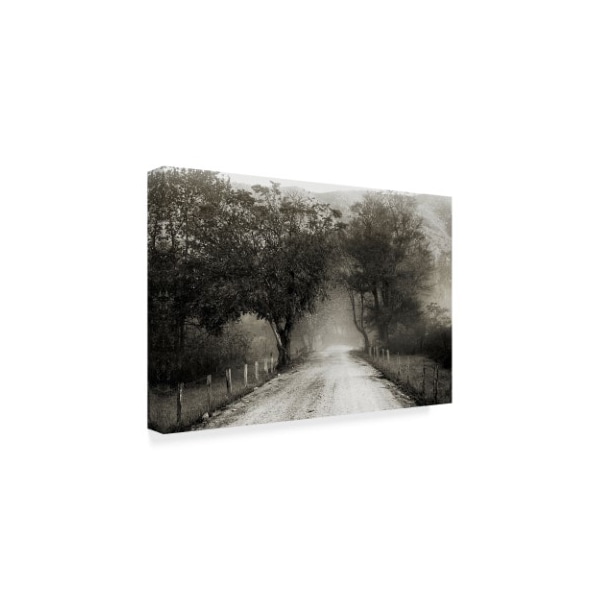 Nicholas Bell Photography 'Sparks Lane Path' Canvas Art,30x47